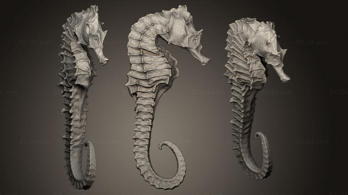 Animal figurines (Seahorse, STKJ_0629) 3D models for cnc